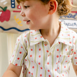 Archie Polo - Apple Stripe | SHIPS 8/5