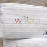 Zip Pouch - Light Blue Stripe