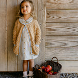 Goldie Dress - Heirloom Stripe