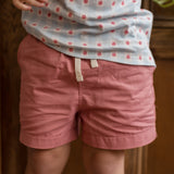 James Shorts - Nantucket Red