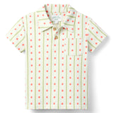 Archie Polo - Apple Stripe | SHIPS 8/5