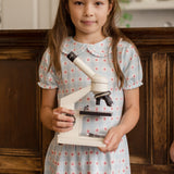 Lily Dress - Apples