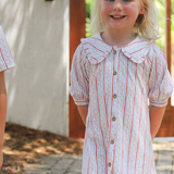Pippa Dress - Americana Vine