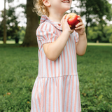 Lily Dress - Horizon Stripe | SHIPS 8/5